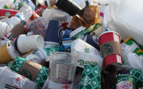 遵守马耳他废物处理法规：保护环境，避免罚款