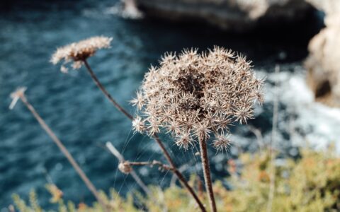 马耳他的气候特征及变化趋势
