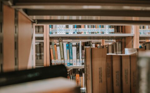 马耳他大学申请指南：本地高中生的路径解析
