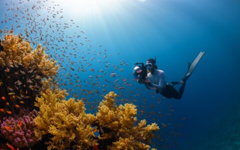 深度体验马耳他的潜水运动：你适合哪种方式？