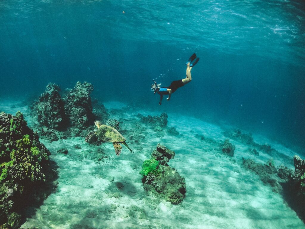 探索海底奇观：马耳他最令人心动的潜水地推荐
