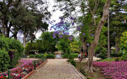 马耳他总统官邸：圣安东花园San Anton Palace