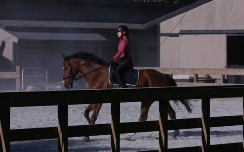 马耳他马术界迎来专业化新阶段　本地教练获国际认证提升教学标准