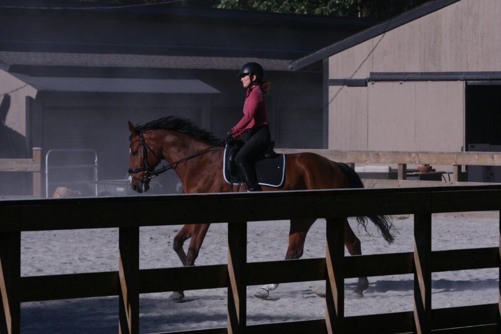 马耳他马术界迎来专业化新阶段　本地教练获国际认证提升教学标准